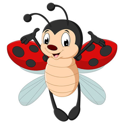 simbolo della coccinella